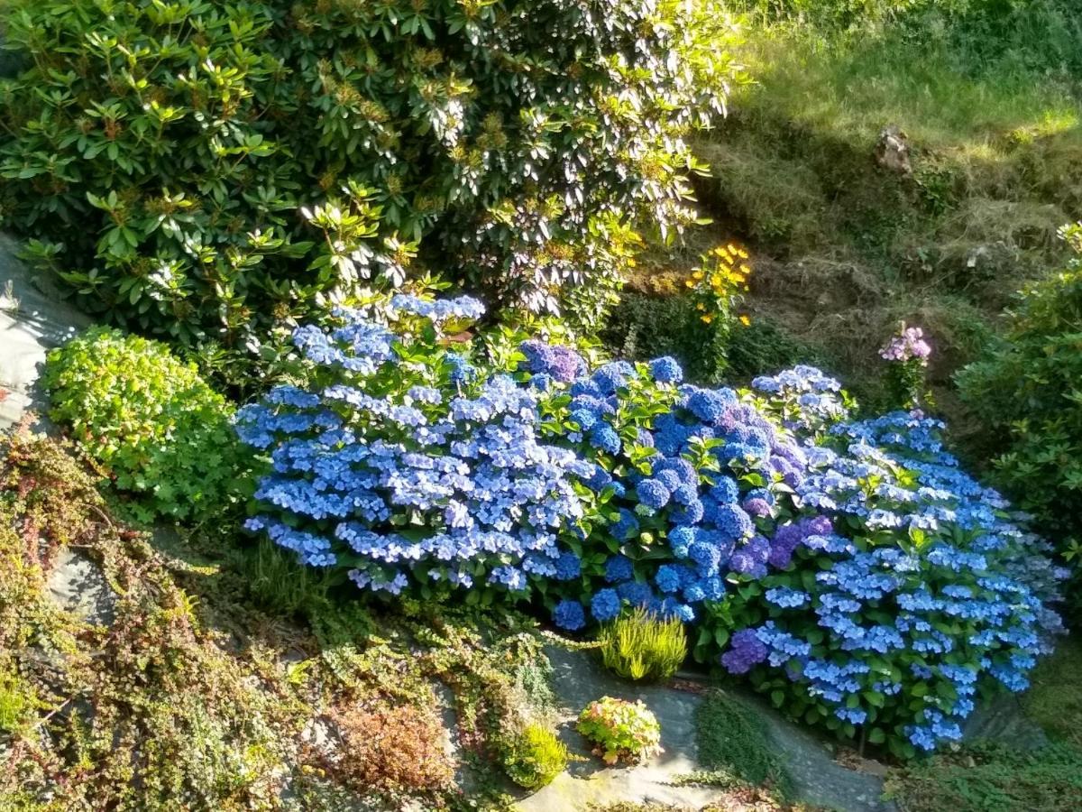 Les Hortensias La Poultiere Exterior foto